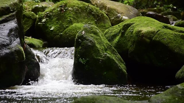 Dat Fa Waterfall in Surat Thani, Thailand