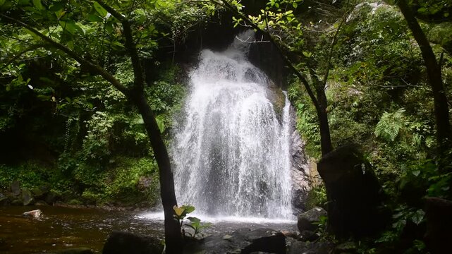 Rim Sai the 3th tier of dad fa waterfall nestled within the lush rainforest of tai rom yen national park in ban na san district surat thani province thailand