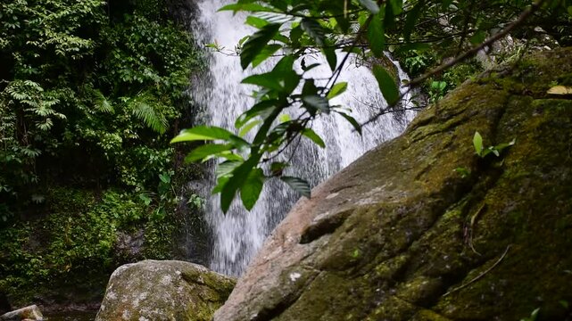 Rim Sai the 3th tier of dad fa waterfall nestled within the lush rainforest of tai rom yen national park in ban na san district surat thani province thailand