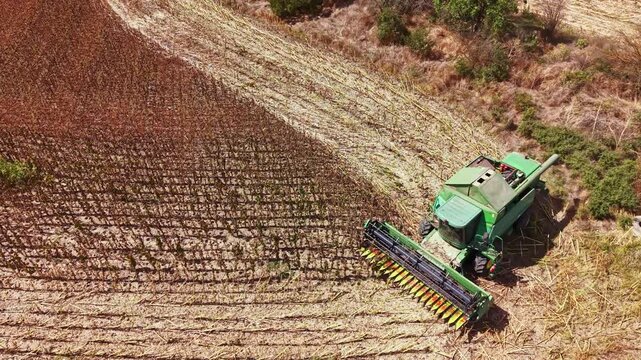 Farm equipment operates in a field, cutting crops during the harvest season. The setting is a rural area with some trees and brush nearby.