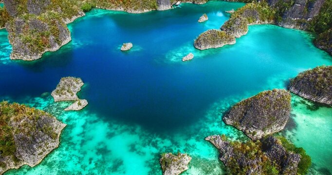 coral reef and fish raja ampat
