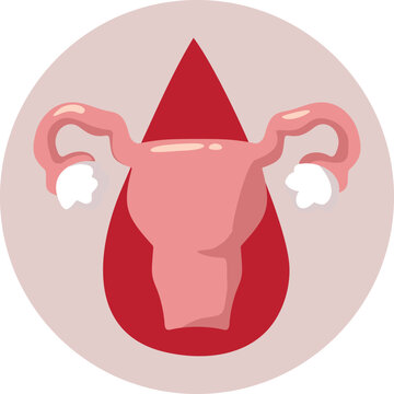 Human Uterus Anatomy Icon With A Red Blood Drop Illustration. Medical vector illustration displaying the female reproductive system uterus over a red blood droplet 