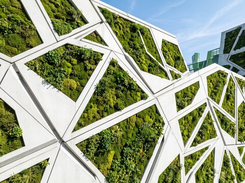 Modern green wall with white geometric metal frame structure