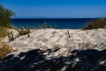White sand dune with tree shadows overlooking the blue sea, Tarifa, Spain © Jose Ferreyra