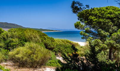 Pine trees and Mediterranean scrub framing a turquoise bay, Tarifa, Spain © Jose Ferreyra