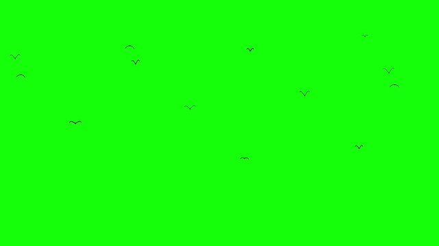 Black bird silhouettes gracefully fly and spread out across a bright chroma key green screen background.