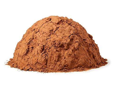 A small pile of brown cocoa powder
