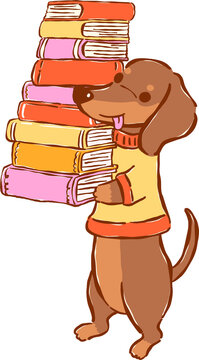 Cute Brown Dachshund Bookish Carrying Stack of Books  Hand Drawn Illustration