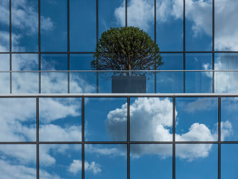 Cumulus clouds and blue sky reflected in the glass curtain wall of a modern building.