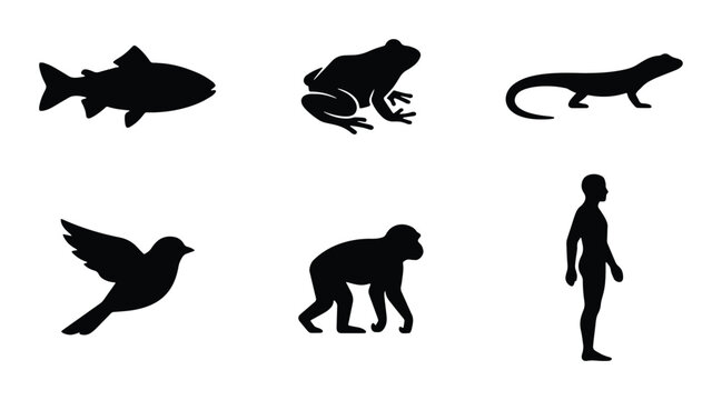 Animal and Human Silhouettes Collection: Diverse Species, Evolutionary Concepts, Biology Education, Science Graphics