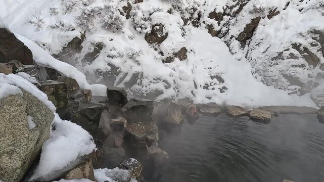 雪に覆われた地獄谷温泉の岩風呂から立ち上る湯気のパン撮影