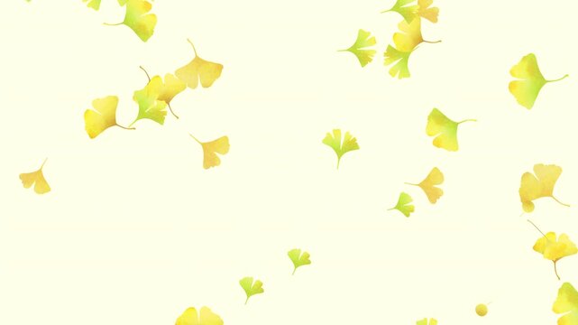 黄色とオレンジと緑の銀杏の葉っぱが風で舞い落ちる。銀杏の実も落ちる。秋の風景。背景。イチョウの落ち葉のイラスト。柔らかい雰囲気の水彩のグラデーションで描かれた落ち葉のイラストアニメーション。ループする動画。