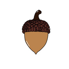 Hand drawn oak nut acorn for autumn seasonal design © Miftachul
