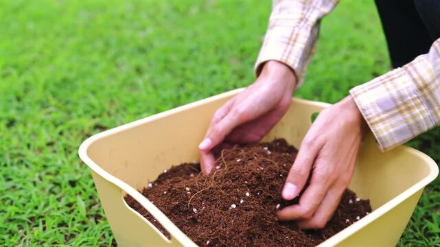 Close-up of female hands holding rich organic soil mixture with perlite over a container. Gardening, soil preparation, organic farming, and sustainable living concept.