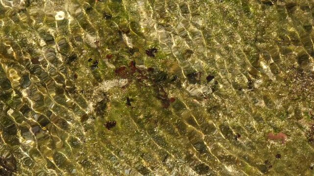 Top Down View of Sunlit Clear Water Ripples over Mossy Coral Reef