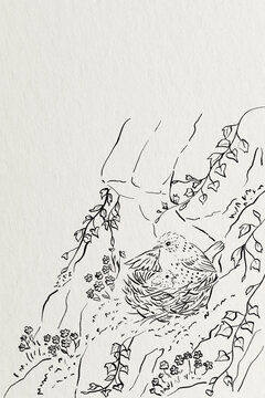 Hand drawn black and white line art illustration of a mother bird and chick nesting among rocks and vines