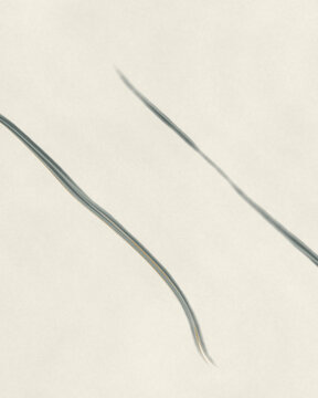 Abstract flowing lines on textured background