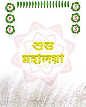 Subho Mahalaya Bengali Festival Greeting Video Template - Floral Typography & Kash Grass Motion Poster High-resolution, premium animated Bengali festival greeting video template dedicated.