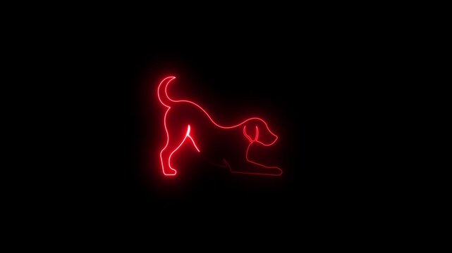 glowing neon Dog outline drooling pet animal abstract symbol neon Dog icon on dark background 4k animation