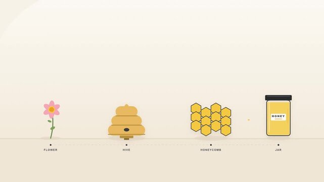 Flat vector infographic animation showing how honey is made from flower to finished jar. Bees collect nectar from flowers, return to the hive, honey fills the honeycomb, and the finished honey is pour