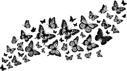 Obraz premium Decorative black silhouette swarm of beautiful flying butterflies with intricate wing patterns isolated on white vector