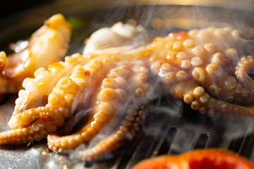 Grilling spicy octopus on hot charcoal BBQ grill netting with smoke © mnimage