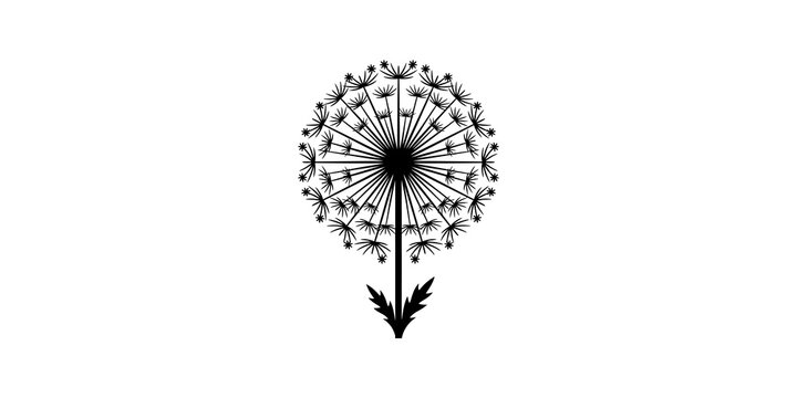 Dandelion flower black silhouette on transparent background for nature projects.