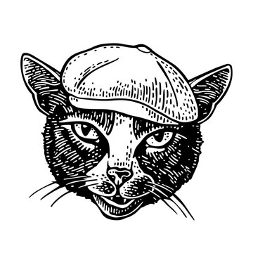 Cat dressed in a peaked cap. Vintage black engraving illustration. Isolated on white background. Hand drawn design element for t-shirt and poster