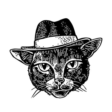 Cat gentleman dressed in a hat. Vintage black engraving illustration. Isolated on white background. Hand drawn design element for label and poster