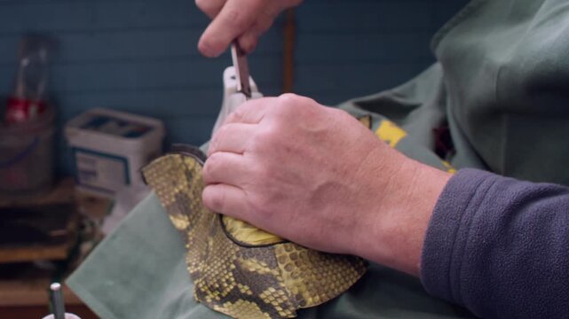 Artisan craft. Professional shoemaker. Unrecognizable craftsman hands shaping leather material using lasting pincers in workshop.