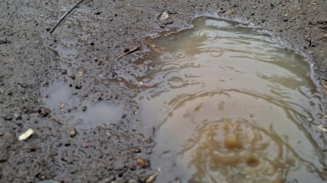 Close up of water ripples in a muddy puddle on a dirt ground after rain in a rural environment