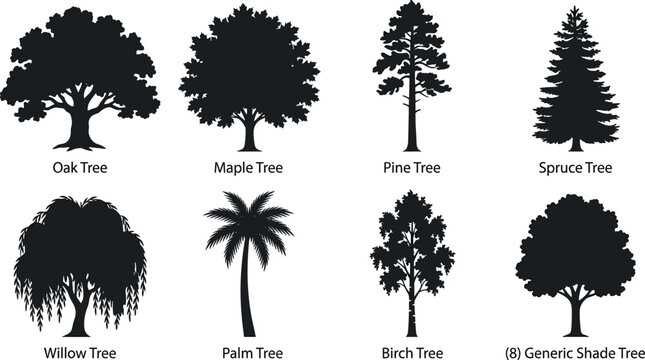 Tree species detailed black silhouette icon set featuring oak maple pine spruce willow palm birch and shade tree vector
