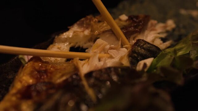 Eating Japanese Grilled Mackerel Saba Shioyaki with Wooden Chopsticks