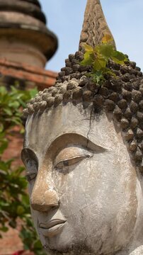 Ancient Stone Buddha Statue Head in Ayutthaya Historical Park Thailand
