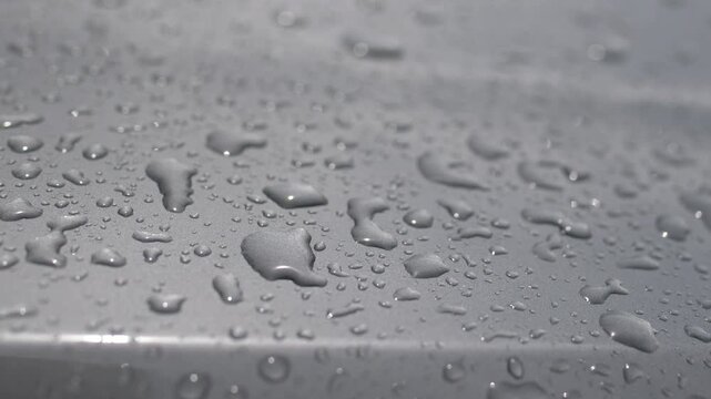 Close Up of Raindrops Beading on Silver Car Hood Surface