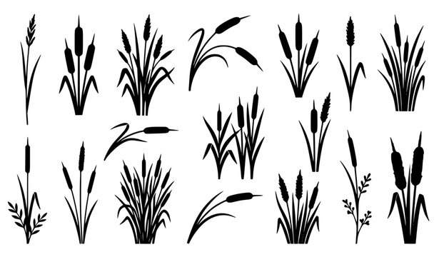 Cattail Flower Clipart &ndash; Black Botanical Silhouette Vector Bundle
