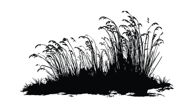 Wild grass silhouette bundle showcasing tall slender stems and textured blades perfect for landscape design and environmental graphics.