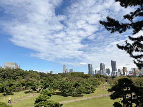 Japan skyline with parkland viewpoint 