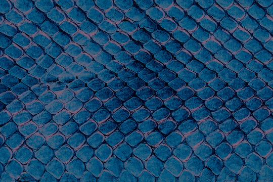 Close-up of a blue scaled fabric texture showing repeating circular pattern and tactile surface
