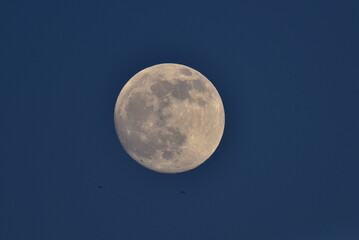 full moon over blue sky, moon, Full Blue Moon, Canada. © Peter