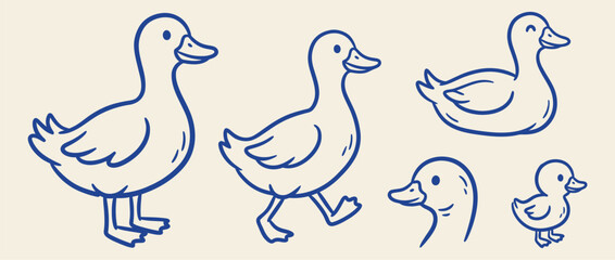 Obraz premium Hand drawn blue line art vector set of cute ducks and ducklings in various poses against a light background