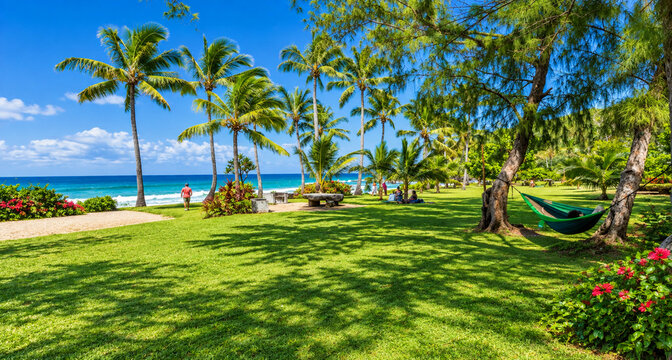 Plage de Grand&rsquo;Anse, &Icirc;le de la R&eacute;union 