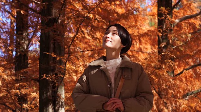 秋の紅葉を楽しむ女性　ミドルエイジ