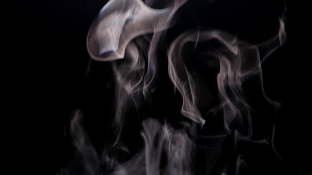 Abstract smoke swirls alongside glowing colorful heart shapes floating against a dark black background setting with shapes moving gracefully beside cluster glowing video displays white smoke plumes