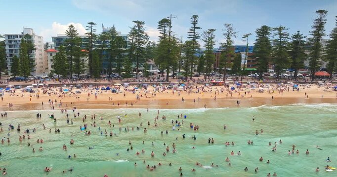 Manly Beach in Sydney, Australia, showing many people swimming in the ocean and relaxing on the sandy shore under a blue sky, surrounded by buildings and Norfolk pine trees. Aerial view drone shot