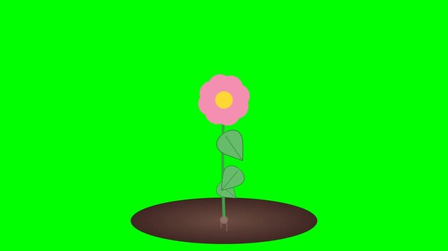 chocolate easter egg on white background lass, cup, ball, art, plant, summer, object, green, color, design, vector