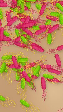 Falling Mixed Bacteria Cells Animation on Tan Mesh Background