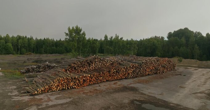 Drone orbit around large piles of neatly stacked logs stored at a forestry site, showcasing timber storage, wood resources, harvesting and sustainable forestry operations.