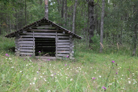 森の中の木の小屋