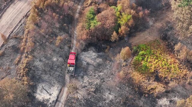 A red fire truck moves slowly along a dirt trail through a scorched forest landscape marked by ash and charred ground, navigating past areas affected by a recent fire with remaining patches of trees.